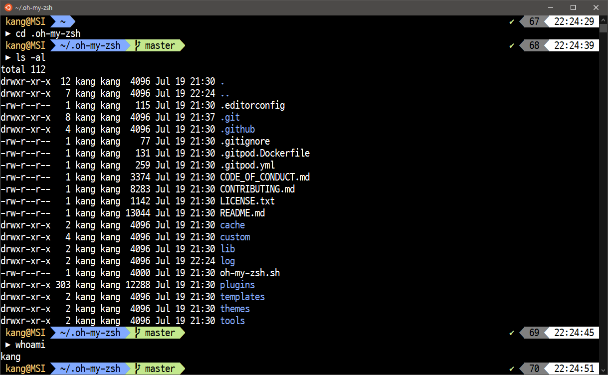 [IDE] windows 10 zsh(z shell) 설치